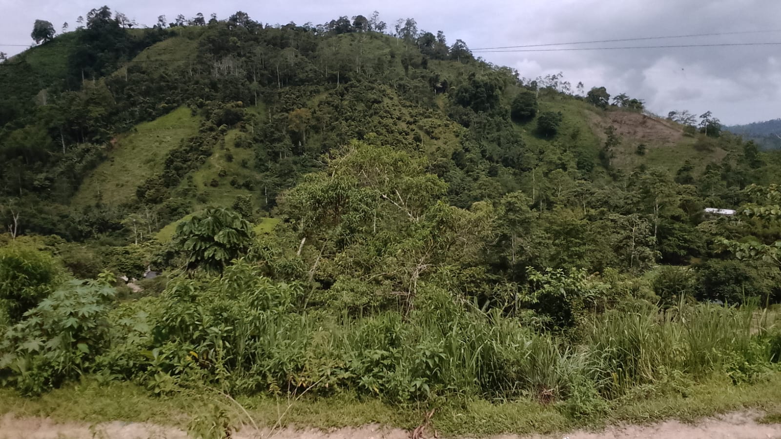 Educación Ambiental