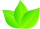 logo-light-icon